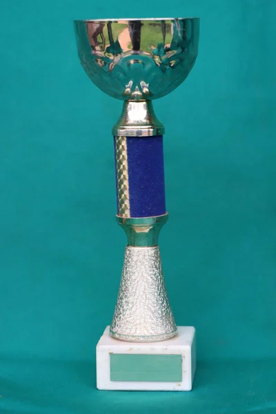 Champion cup met reflectie op groene achtergrond — Stockfoto