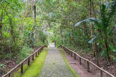 Ulusal Park San Agustin Huila Kolombiya ormanda yolu, yeşillik ve çiçekler ile çevrili güzel bir yol.