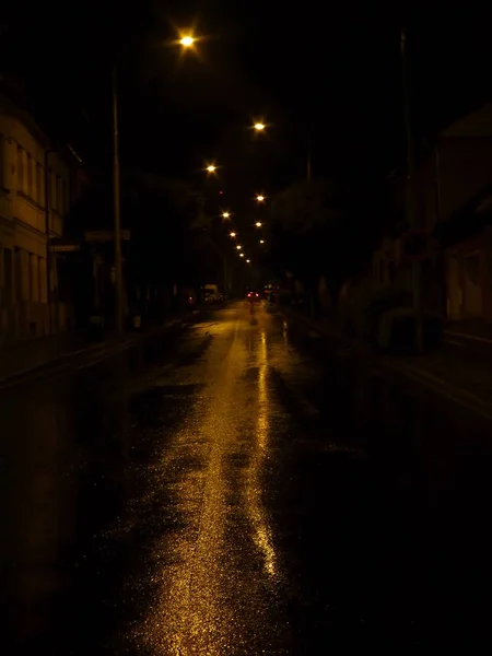 Fénykép Egy Üres Nedves Útról Éjszaka Utcai Lámpákkal Megvilágítva — Stock Fotó