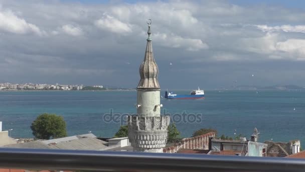 View of Istanbul and the Bosphorus from above — Stock Video