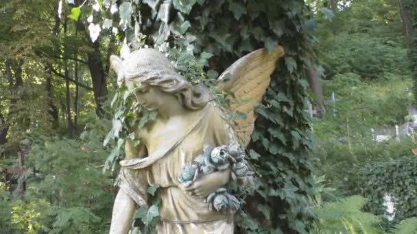 The sculpture in the cemetery angel with wings — Stock Video