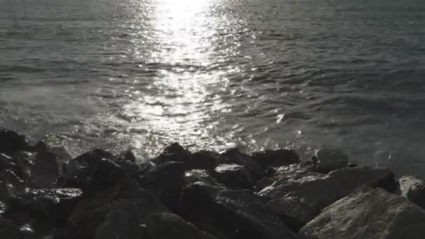 Морський серфінг падає на скелі на березі — стокове відео