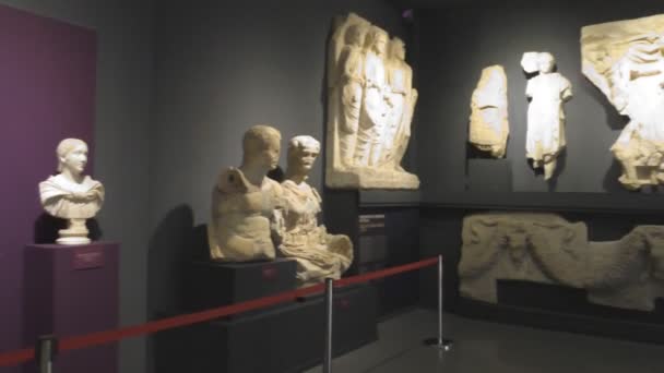 El museo histórico de antigüedades y esculturas — Vídeo de stock