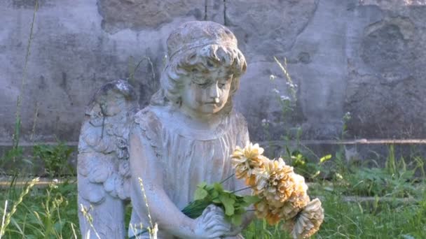 La escultura en el cementerio ángel con alas — Vídeo de stock