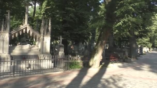 Open Air Museum Lychakiv cemetery monuments — Stock Video