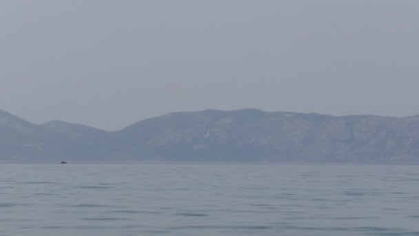 Magnifique vue sur la mer claire et la plage dans la réserve naturelle Voyage — Video