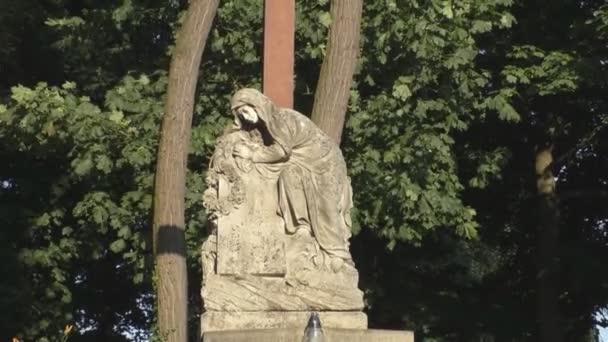 Female sculpture monuments in Lychakiv cemetery open-air museum — Stock Video