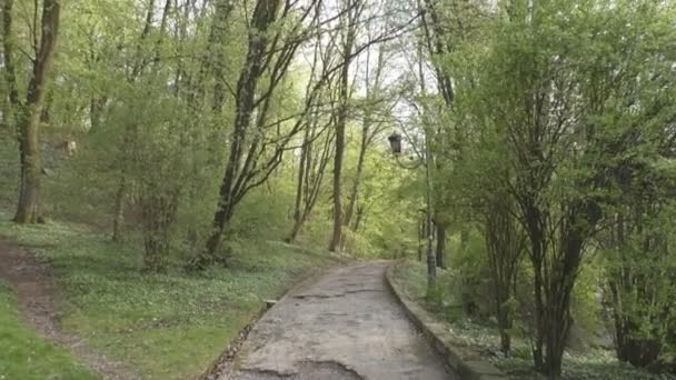 Beau parc avec végétation luxuriante, arbres, arbustes, sentiers et herbe — Video