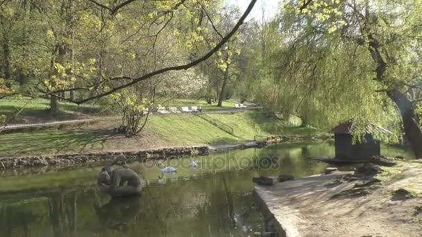 Lago em um parque com cisnes, uma casa de pássaros e uma escultura — Vídeo de Stock