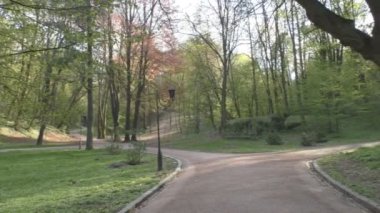 Yemyeşil bitki örtüsü, ağaçlar, çalılar, yollar ve çim güzel park