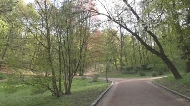 Vacker park med frodig växtlighet, träd, buskar, vandringsleder och gräs — Stockvideo