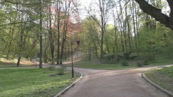 Beau parc avec végétation luxuriante, arbres, arbustes, sentiers et herbe 