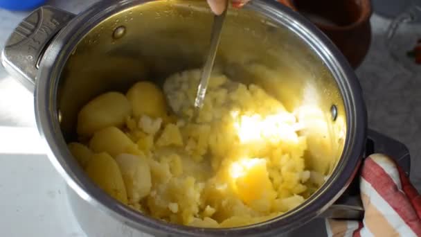 Proces przygotowania puree ziemniaczanego — Wideo stockowe