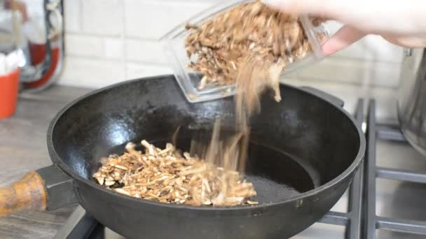 Процесс и приготовление грибов для блюда — стоковое видео