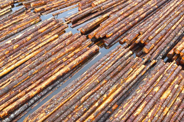 Log transport, drijvende hout Stockfoto