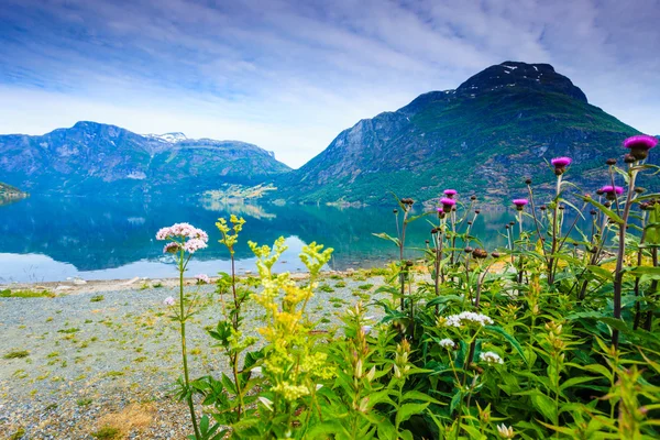 Montañas y fiordo en Noruega , —  Fotos de Stock