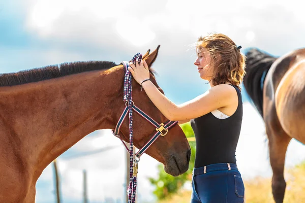 Jonge vrouw meisje het verzorgen van het paard. — Stockfoto