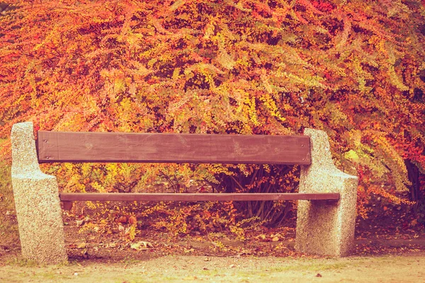 Banco solitario en el parque . — Foto de Stock