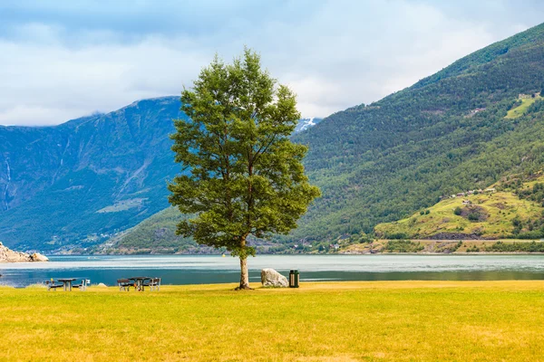 Tavolo e panche da picnic vicino al fiordo in Norvegia , — Foto Stock