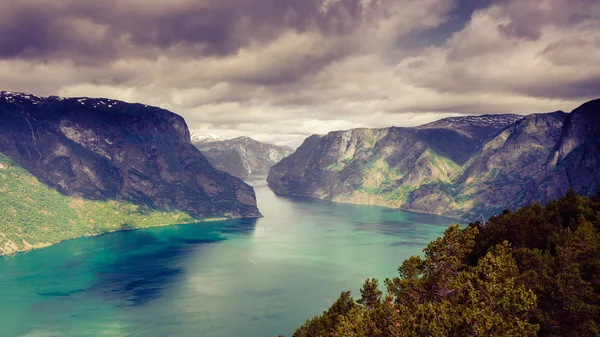Blick auf die Fjorde am Aussichtspunkt Stegastein in Norwegen — Stockfoto