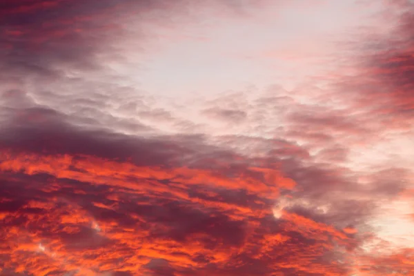 Färgglada varma moln på himlen vid solnedgången — Stockfoto