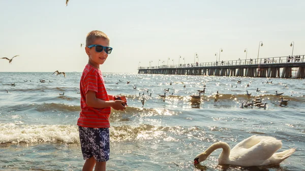 Petit garçon avec un beau cygne . — Photo