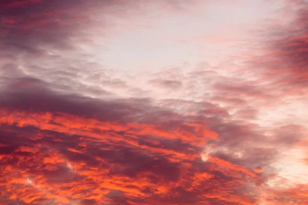 Färgglada varma moln på himlen vid solnedgången — Stockfoto