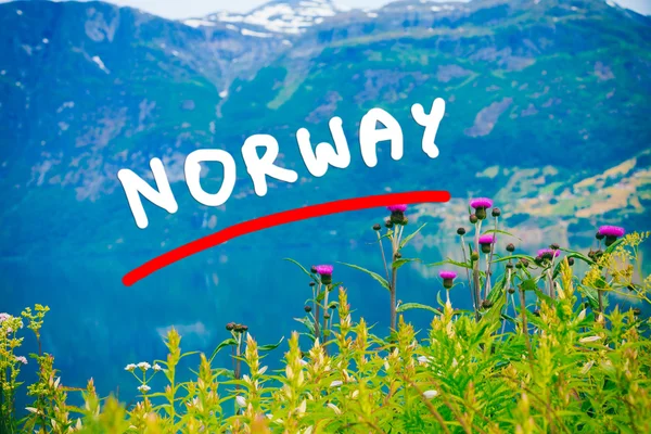 Hory a fjord v Norsku, — Stock fotografie
