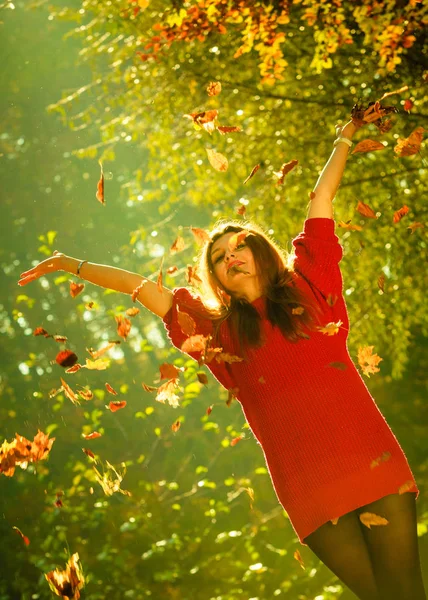 Vrouw spelen met herfst bladeren. — Stockfoto