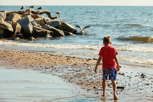 Junge geht am Strand spazieren. — Stockfoto
