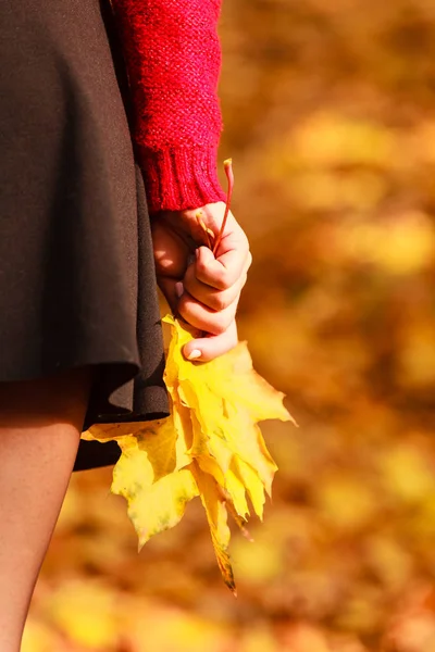 Kobieta z klon pozostawia w ręku. Krajobraz jesienny park — Zdjęcie stockowe