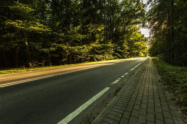 Estrada de asfalto através da floresta verde — Fotografia de Stock