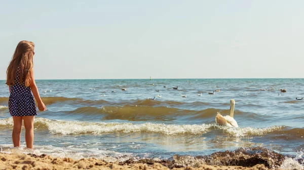 Fille jouer avec adulte cygne . — Photo