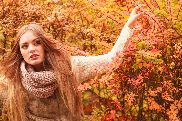 Rätselhafte Frau gegen Herbstlaub im Freien — Stockfoto
