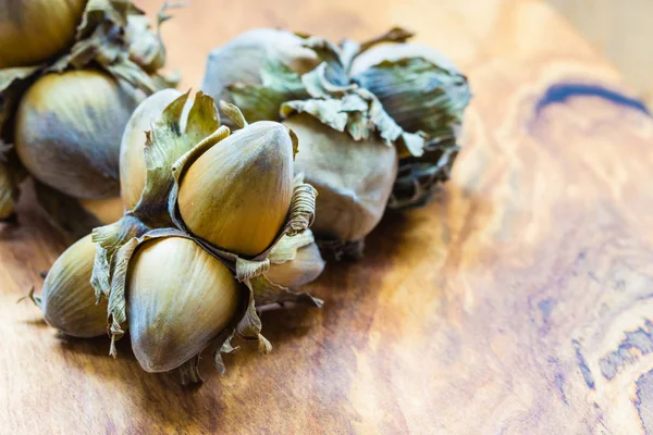 Hazelnoten cluster filbert noten in de harde schelp. — Stockfoto