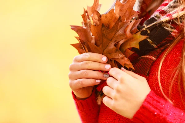 Femmina con foglie d'acero in mano. Paesaggio del parco autunnale — Foto Stock