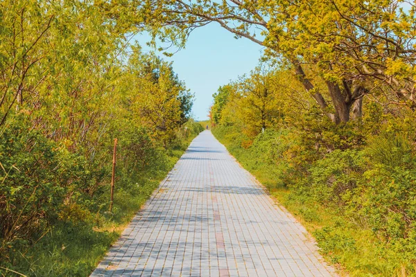 Nature concept, sidewalk in green park — Stock Photo, Image