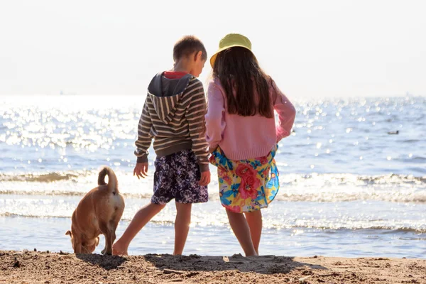 小孩子在海上与狗水。夏季. — 图库照片