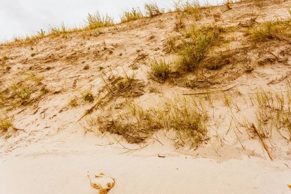Plage en été et dunes avec herbe — Photo