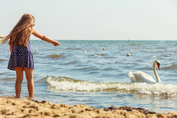 Chica jugando con cisne adulto . — Foto de Stock