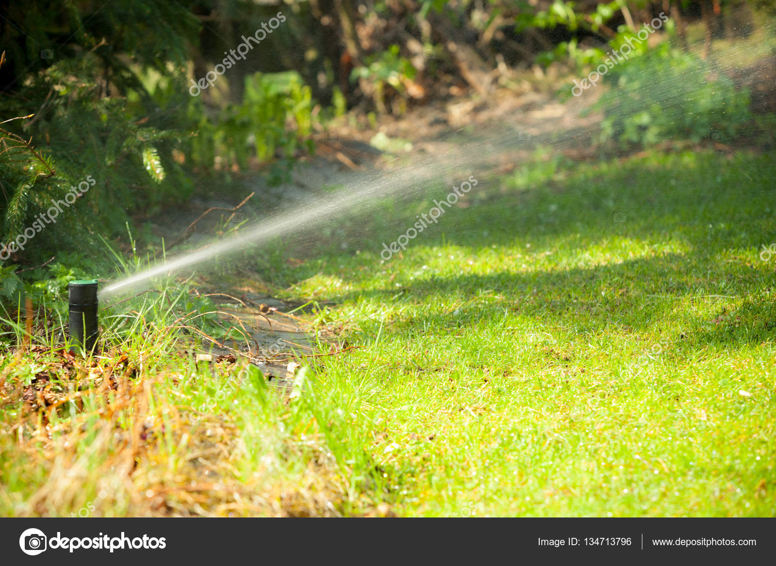 El rociador del césped, el equipo en el jardín. — Foto de stock