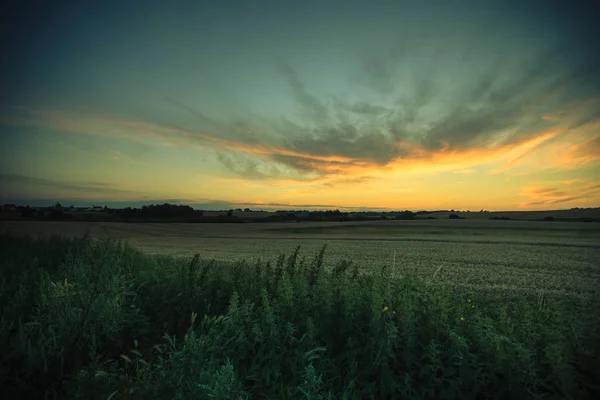 Beau coucher de soleil sur un champ de printemps — Photo