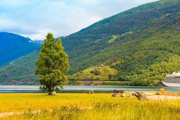 Statek wycieczkowy na fiord Sognefjord w Norwegii Flam — Zdjęcie stockowe