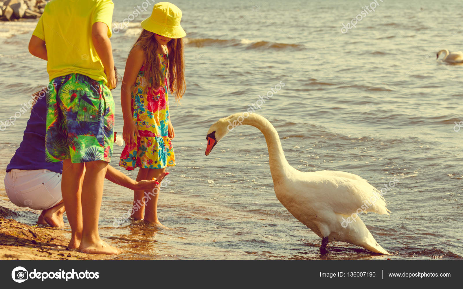 https://st3.depositphotos.com/1735158/13600/i/1600/depositphotos_136007190-stock-photo-kids-playing-with-swan-white.jpg