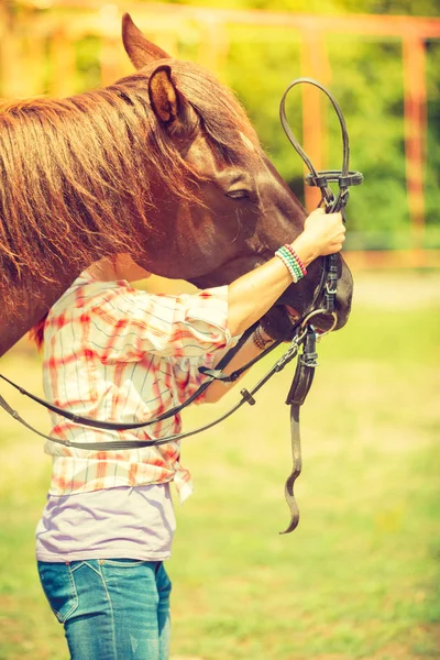 女牛仔穿花格子衬衫，拥抱匹棕色的马 — 图库照片