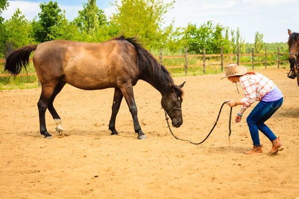 Cowgirl står bredvid brun häst vän — Stockfoto