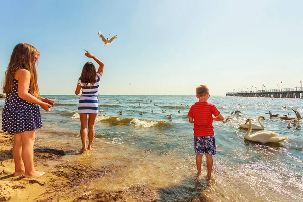 Niños jugando con cisne pájaro blanco . — Foto de Stock