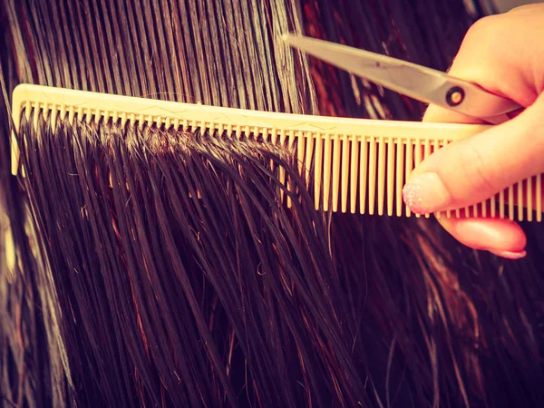 Friseur bürstet nasse dunkle Haare mit Kamm — Stockfoto