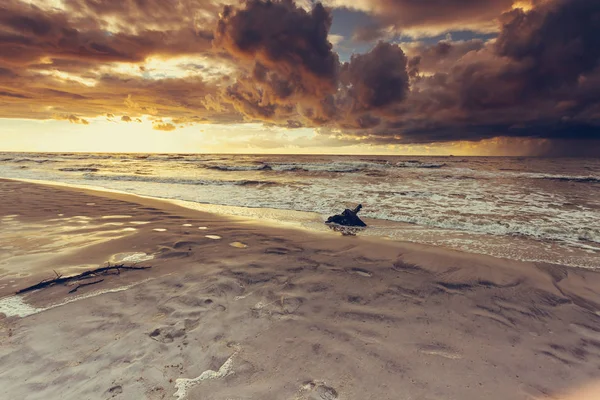 Golden sunset and tree root on beach — Stock Photo, Image