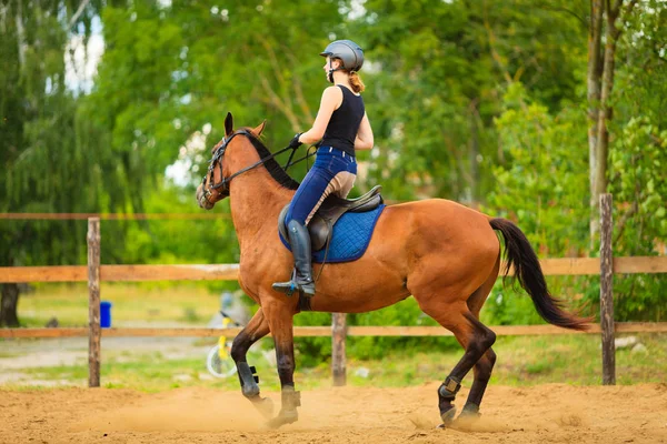 Žokej dívka dělá kůň na venkově louka — Stock fotografie
